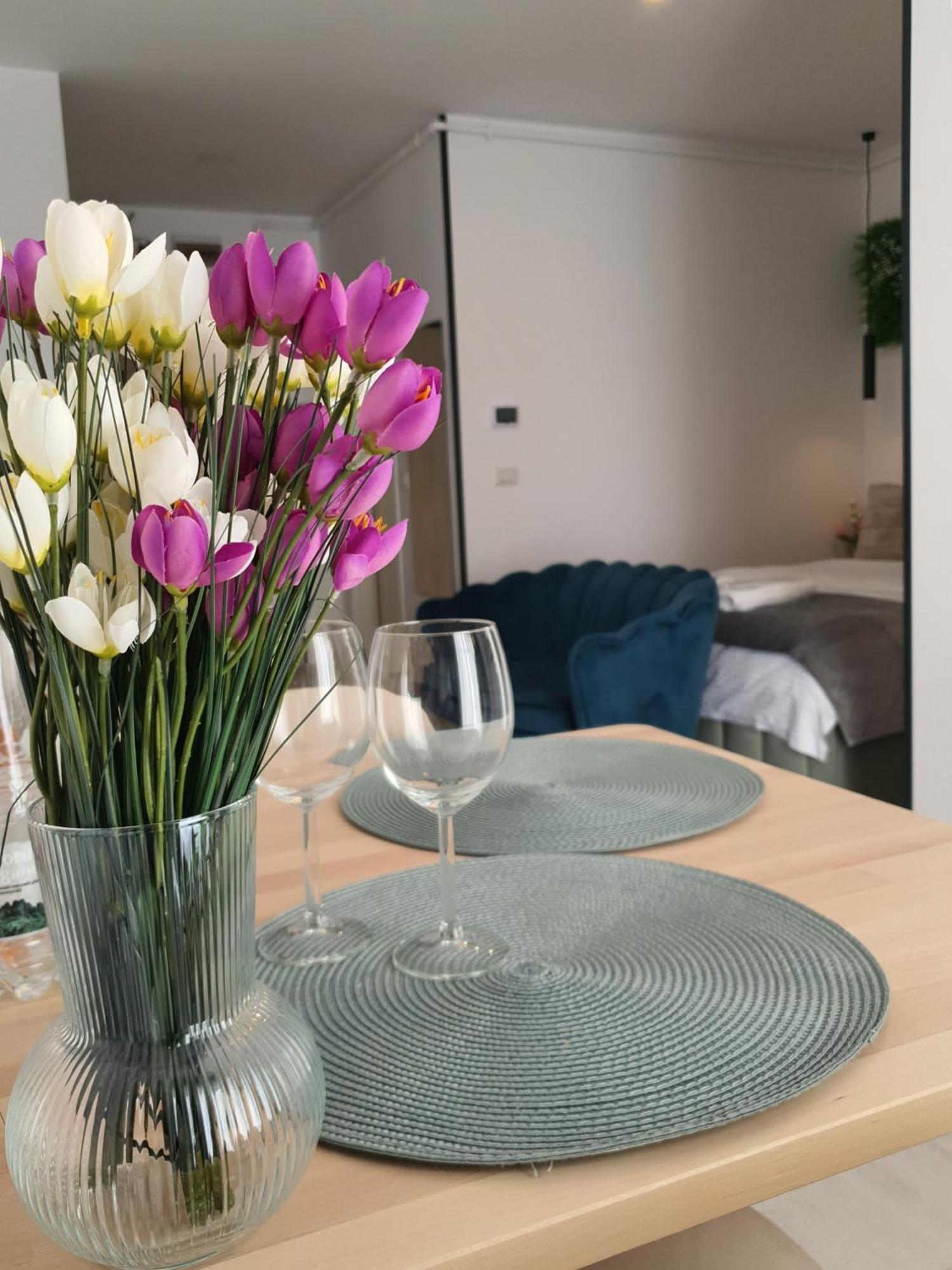 Premium Hils Brauner Studio Bukarest Eksteriør billede